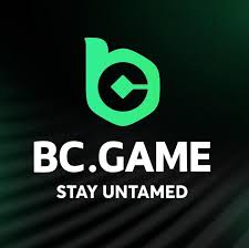 The Ultimate Guide to the Official BC.Game App -164007467